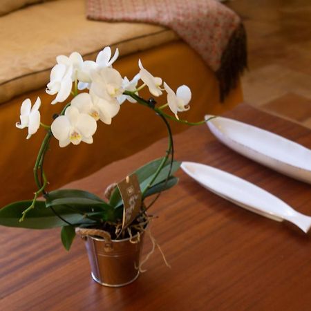 Casa Muro Luxury Villa 칼라 사오나 외부 사진